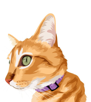 Half body caricature of orange cat