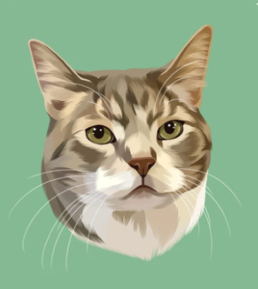 Cute Cat Portrait on Green Background