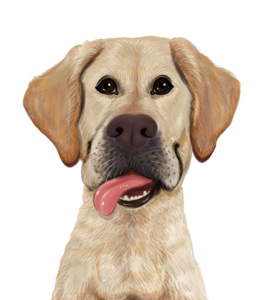 Brown dog with tongue out and leaned