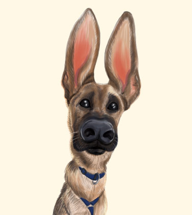 Funny Caricature of Dog with large ears